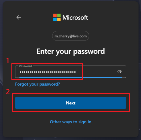 Microsoft Enter Your Password Form